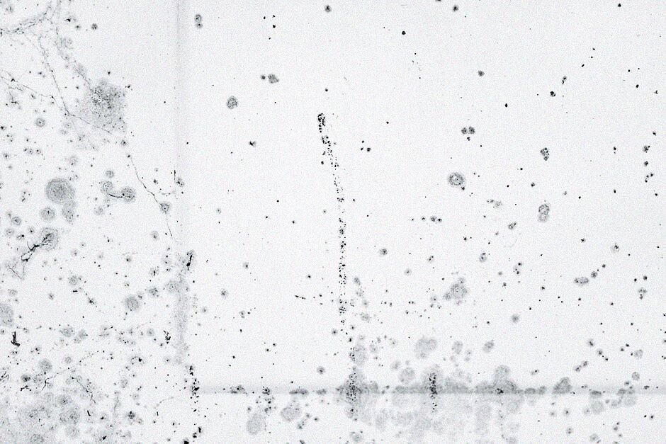 Dark mold growth spreading across a pale interior wall surface